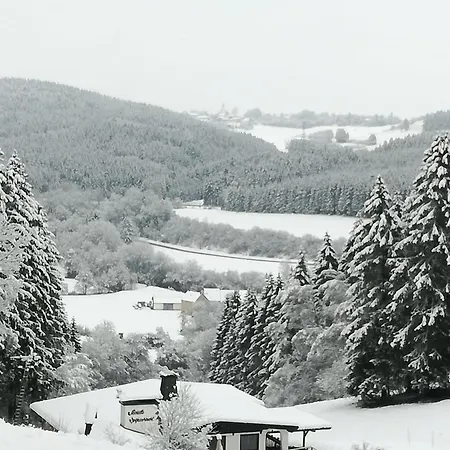 Tettenbusch In Der Waldstadt Naturpark Eifel Lägenhet *