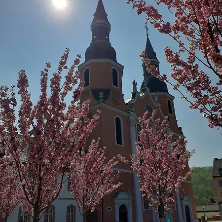 Tettenbusch In Der Waldstadt Naturpark Eifel *